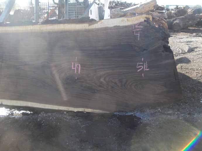 Walnut Slab WALSLB84C