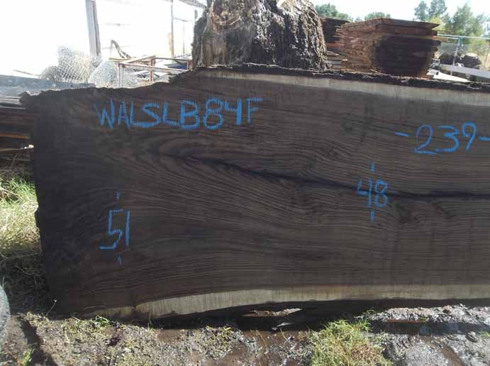 Walnut Slab WALSLB84F