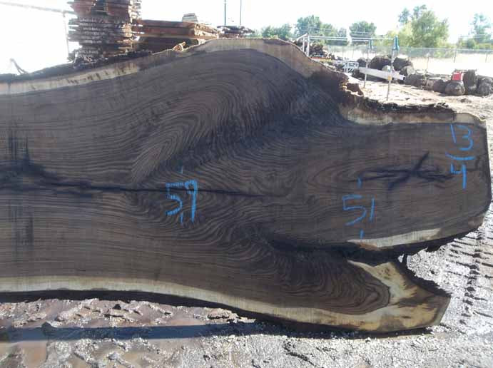 Walnut Slab WALSLB84F