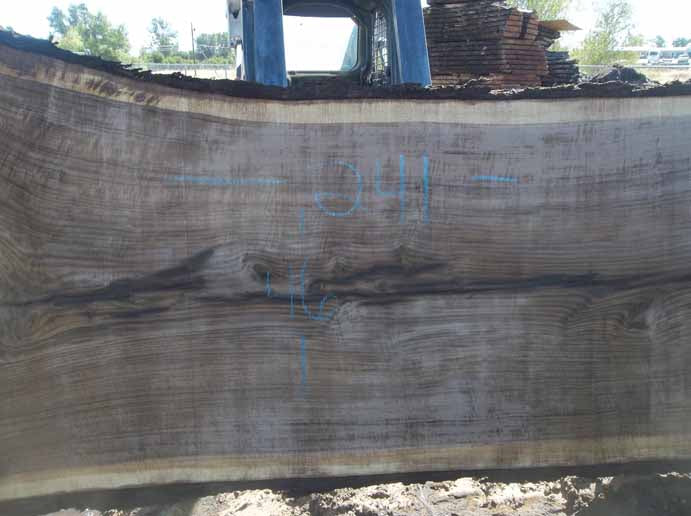 Walnut Slab WALSLB84G