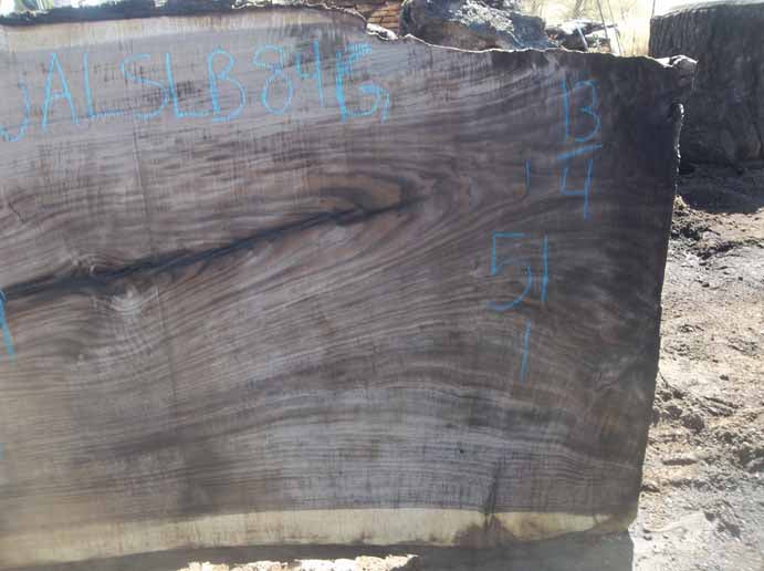 Walnut Slab WALSLB84G