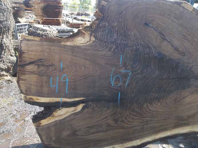 Walnut Slab WALSLB84H