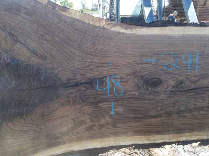 Walnut Slab WALSLB84H