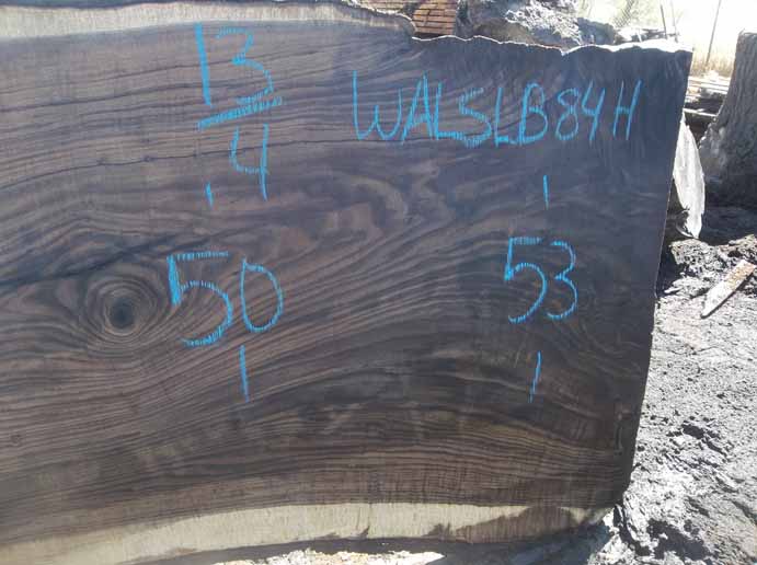 Walnut Slab WALSLB84H
