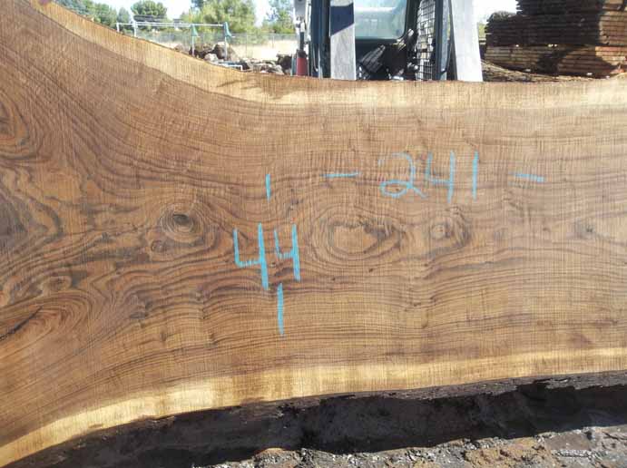 Walnut Slab WALSLB84I