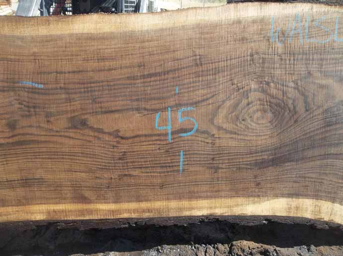 Walnut Slab WALSLB84I