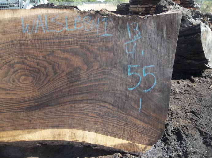 Walnut Slab WALSLB84I