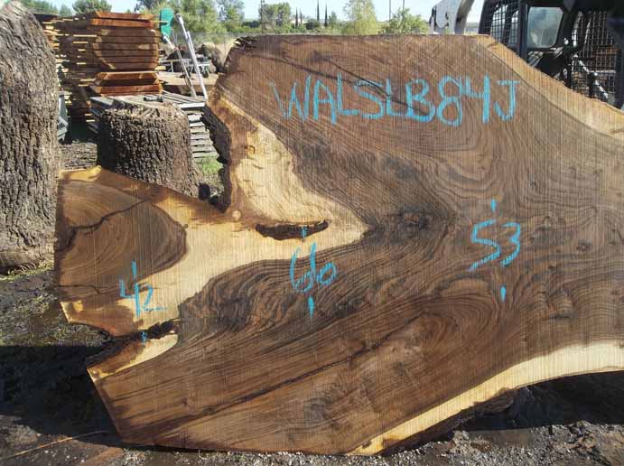 Walnut Slab WALSLB84J