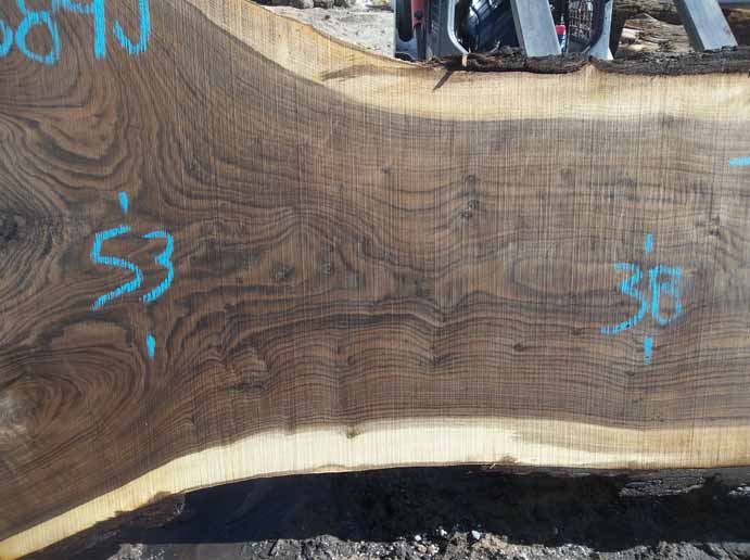 Walnut Slab WALSLB84J