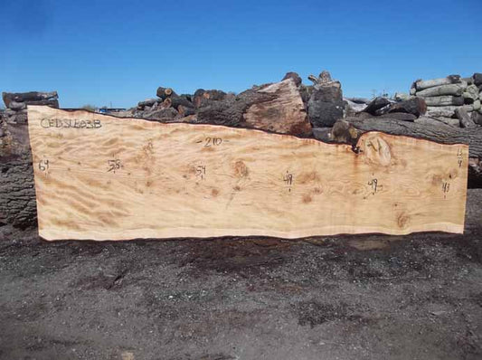 Cedar Slab CEDSLB03B