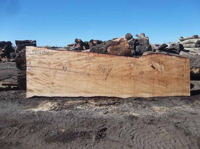 Cedar Slab CEDSLB03C