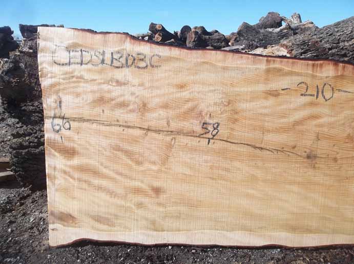 Cedar Slab CEDSLB03C