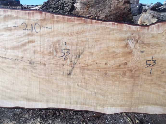 Cedar Slab CEDSLB03C