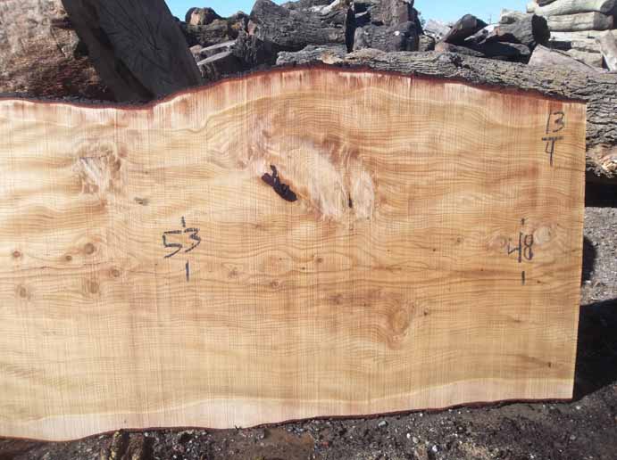 Cedar Slab CEDSLB03C