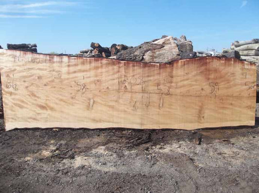 Cedar Slab CEDSLB03D