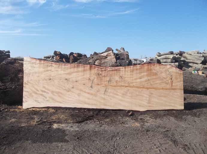 Cedar Slab CEDSLB03E