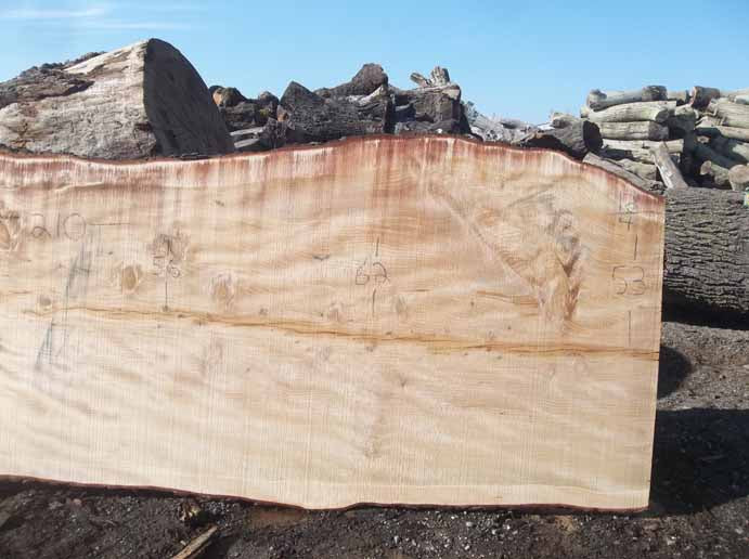 Cedar Slab CEDSLB03E