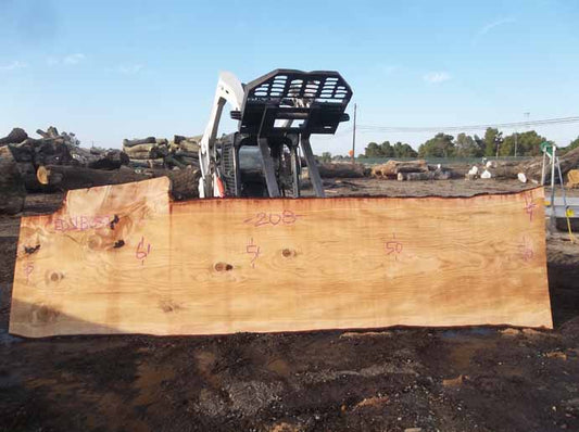 Cedar Slab CEDSLB03I