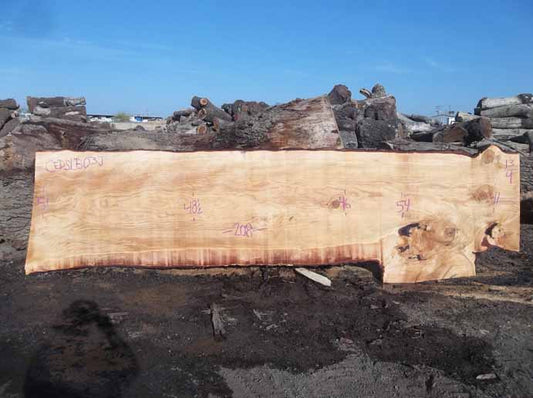 Cedar Slab CEDSLB03J