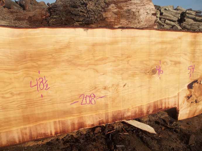 Cedar Slab CEDSLB03J