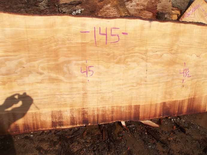 Cedar Slab CEDSLB03K