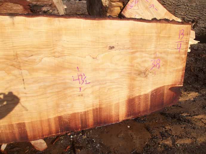 Cedar Slab CEDSLB03K