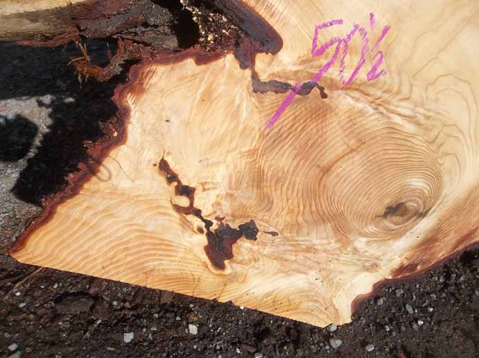 Cedar Slab CEDSLB03L