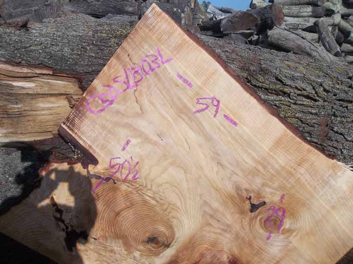 Cedar Slab CEDSLB03L