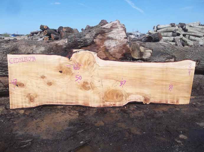 Cedar Slab CEDSLB04A