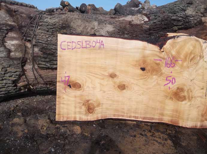 Cedar Slab CEDSLB04A