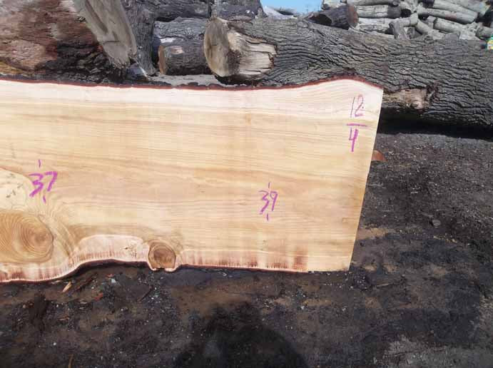 Cedar Slab CEDSLB04A