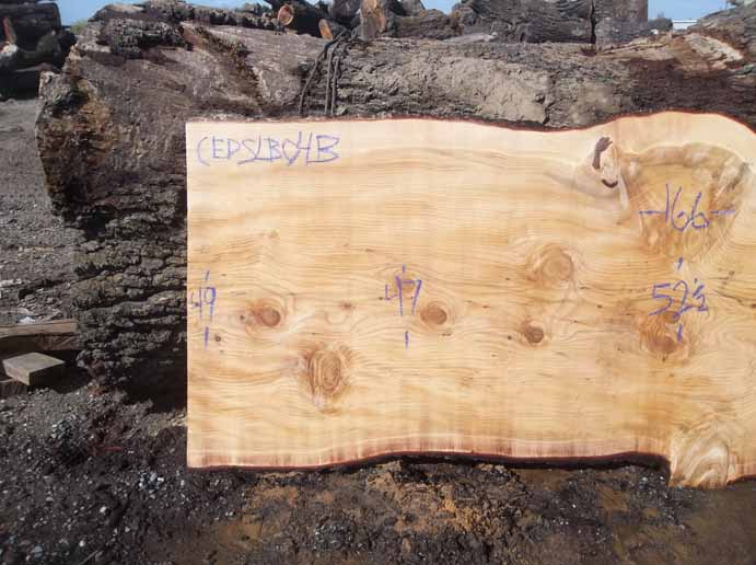 Cedar Slab CEDSLB04B