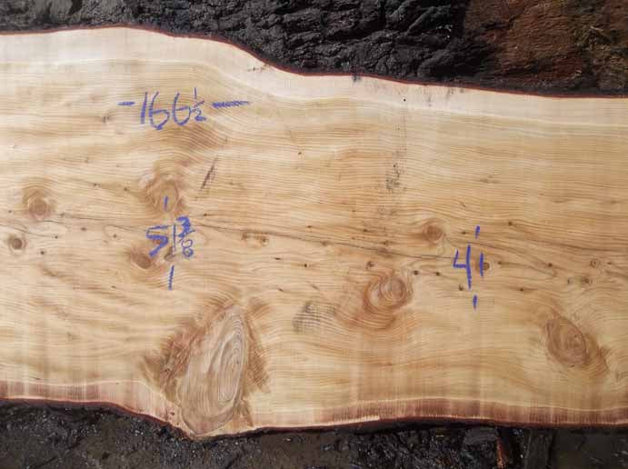 Cedar Slab CEDSLB04C