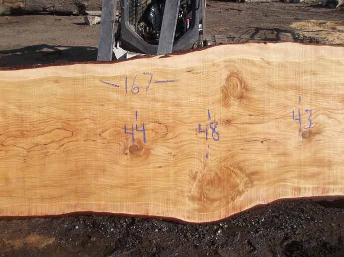 Cedar Slab CEDSLB04G