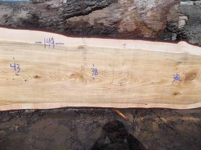Cedar Slab CEDSLB5B
