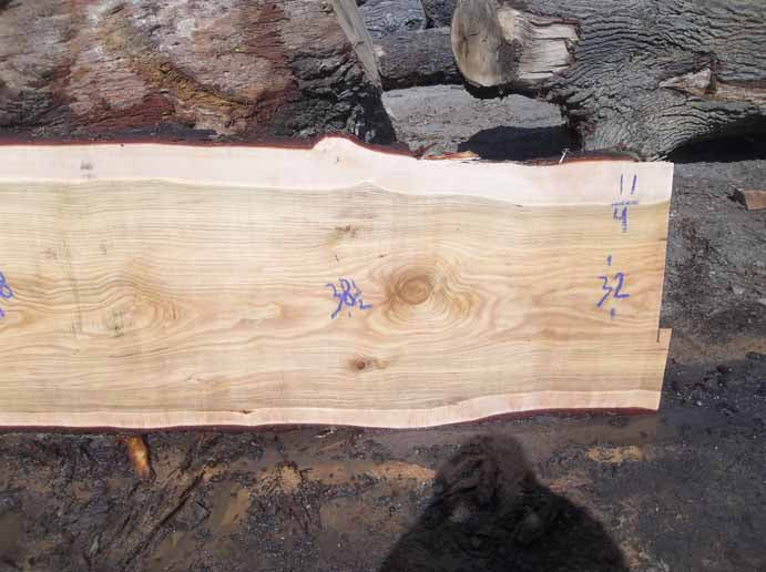Cedar Slab CEDSLB5B