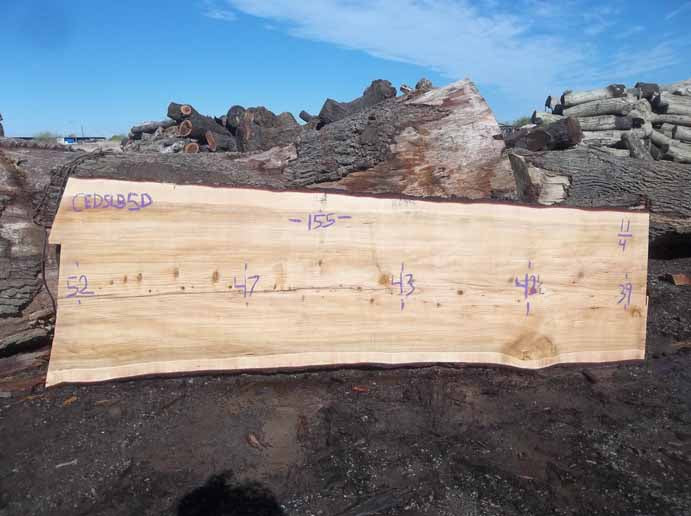 Cedar Slab CEDSLB5D