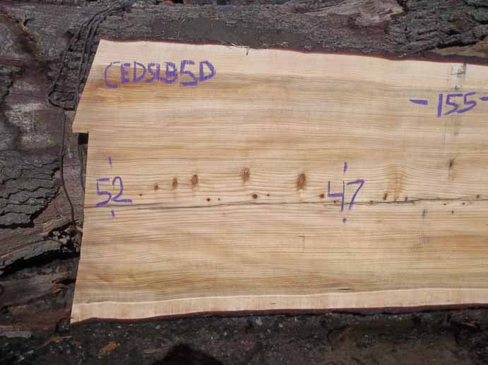 Cedar Slab CEDSLB5D