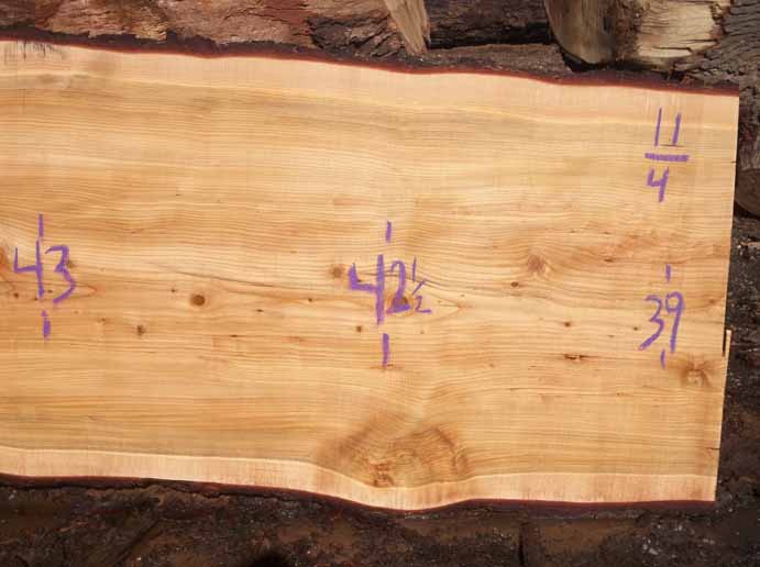 Cedar Slab CEDSLB5D