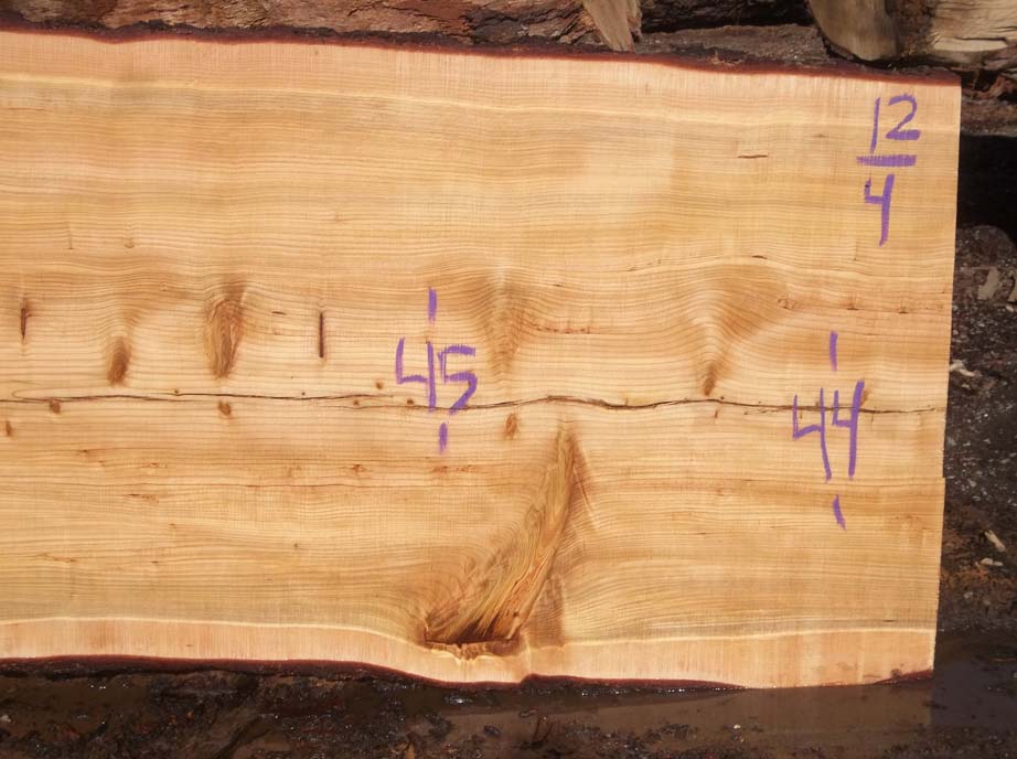 Cedar Slab CEDSLB5E