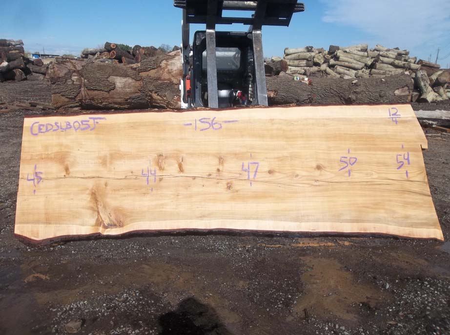 Cedar Slab CEDSLB5F