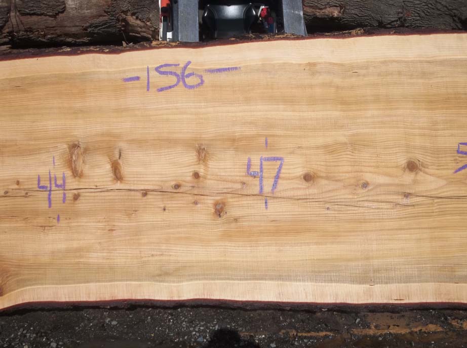 Cedar Slab CEDSLB5F