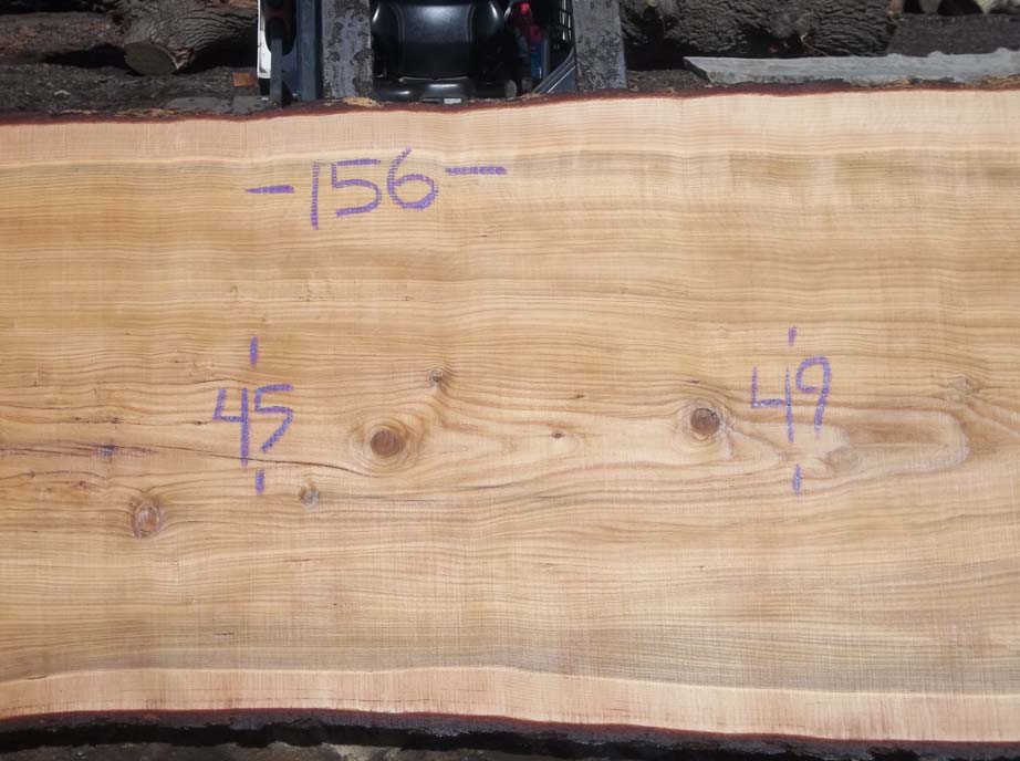 Cedar Slab CEDSLB5G
