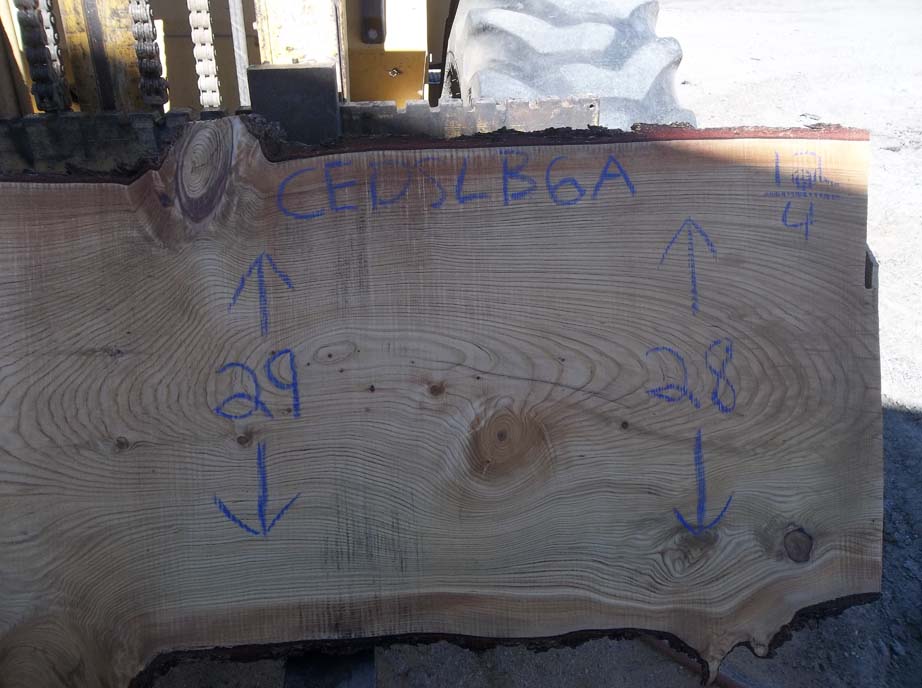 Cedar Slab CEDSLB6A