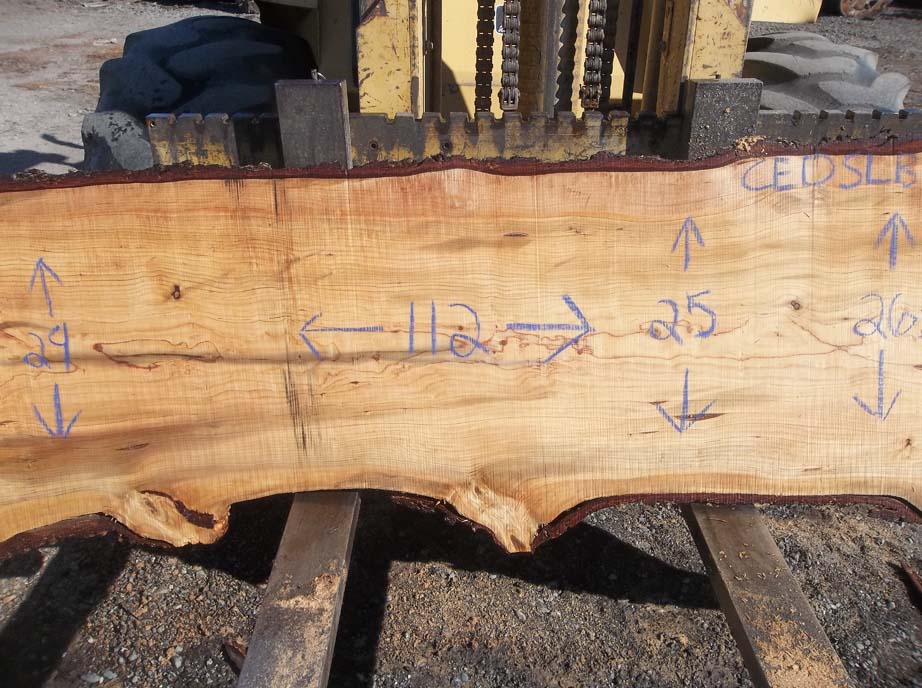 Cedar Slab CEDSLB7A