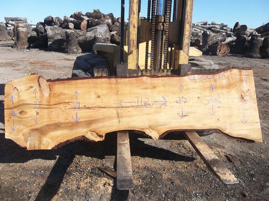 Cedar Slab CEDSLB7A