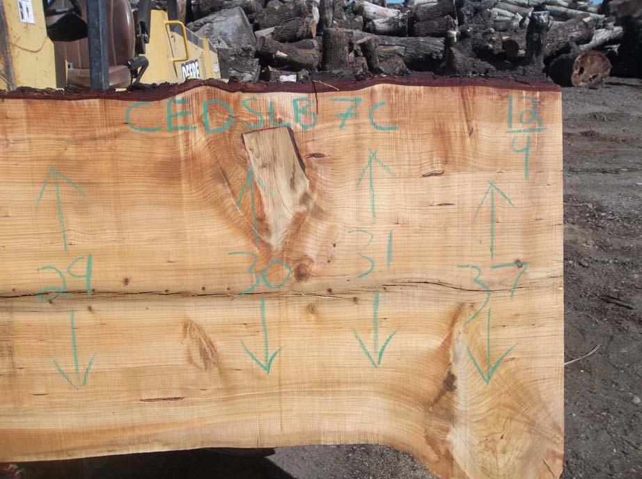 Cedar Slab CEDSLB7C