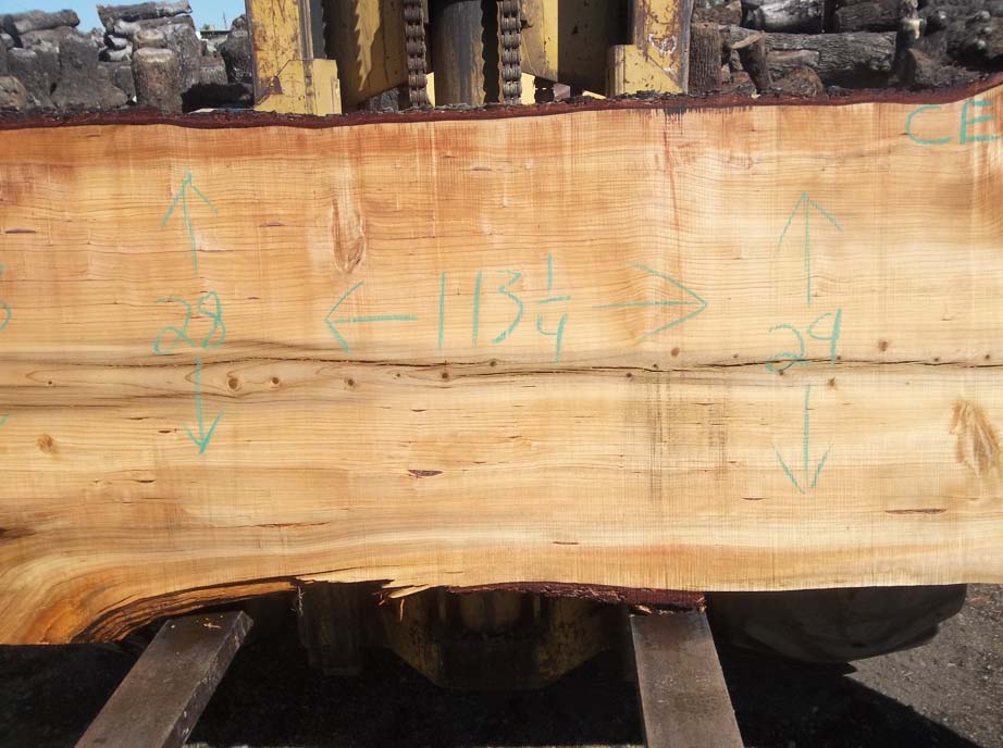 Cedar Slab CEDSLB7C