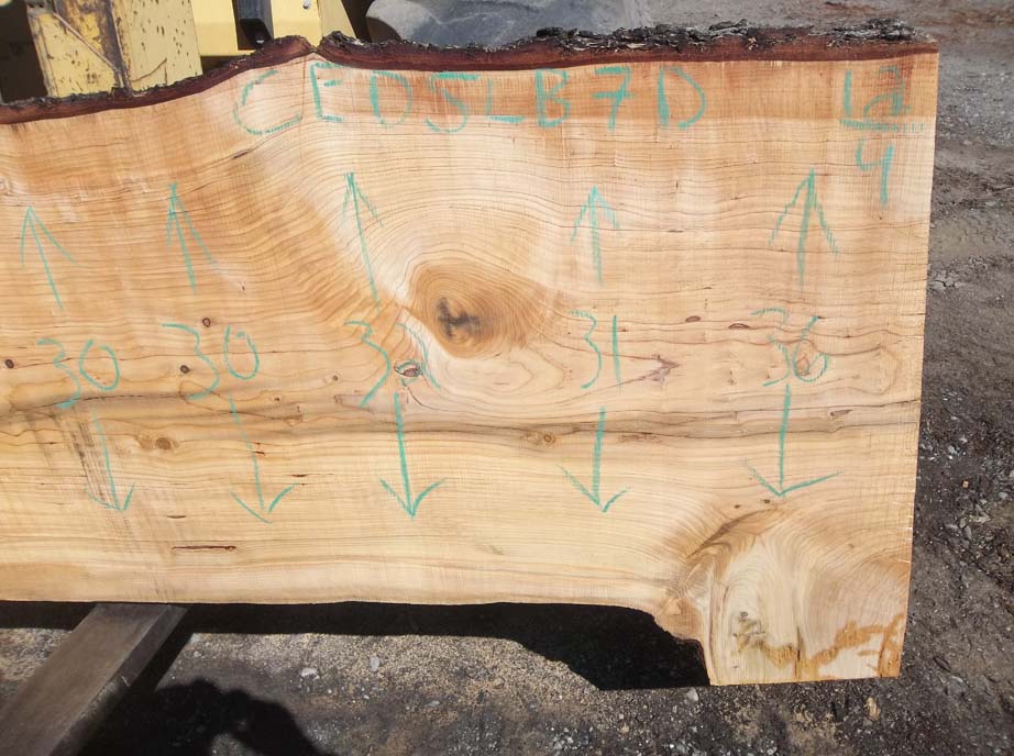 Cedar Slab CEDSLB7D