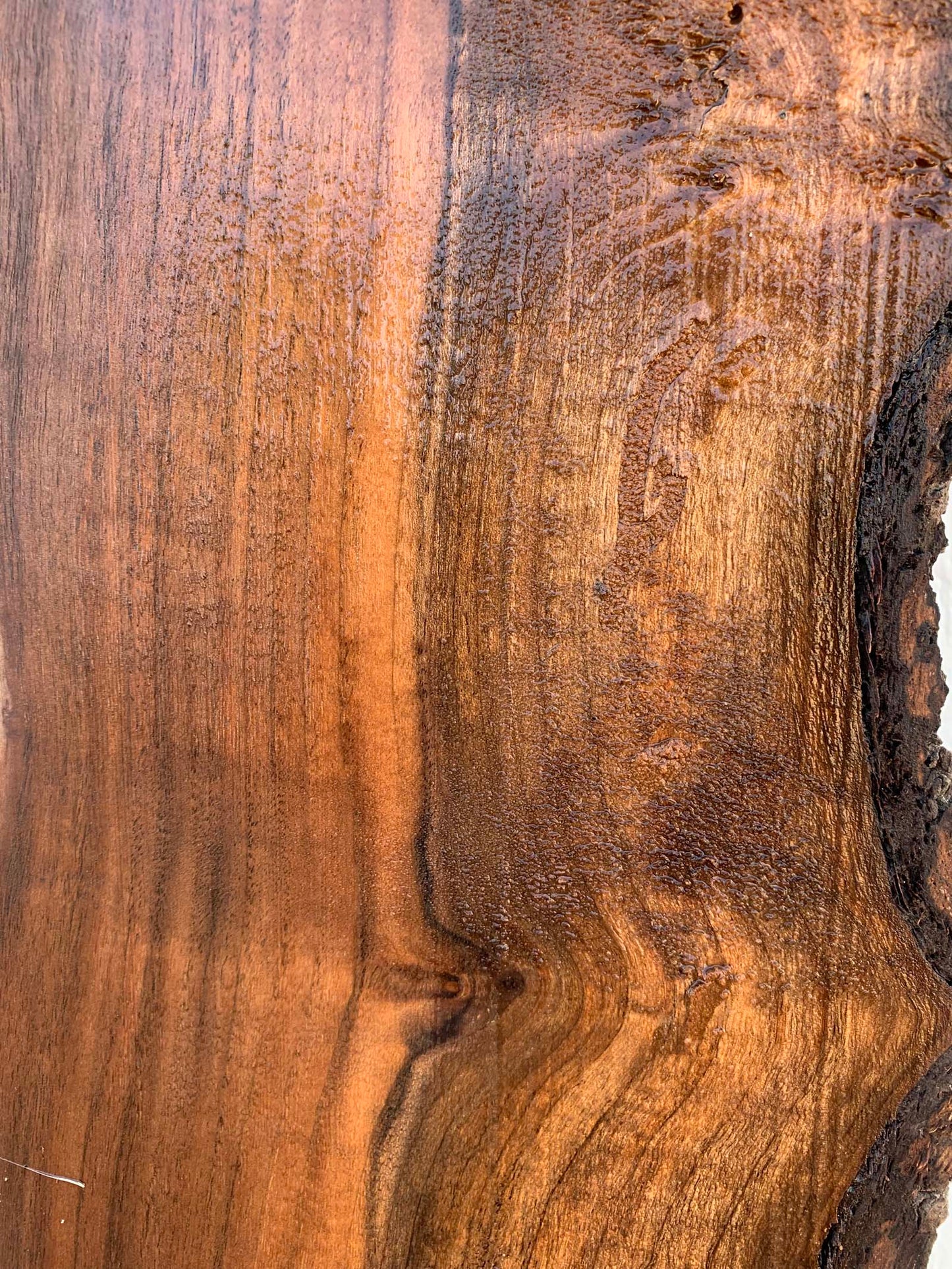 Claro Walnut Specialty Piece CLASPC345